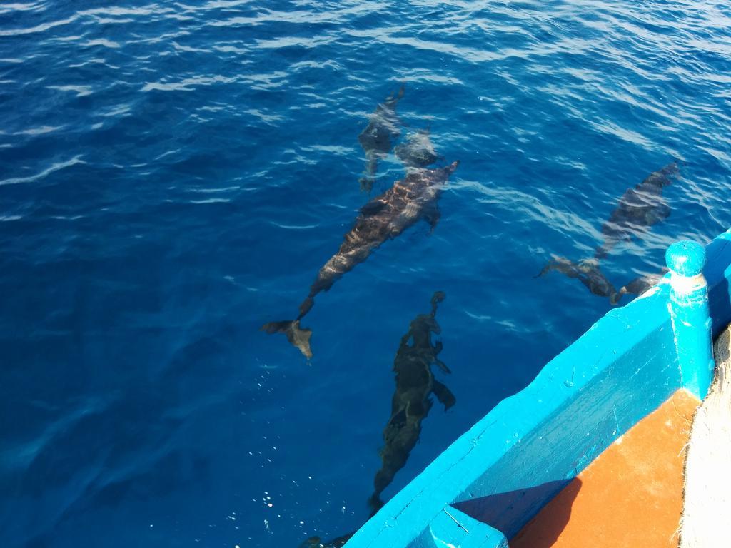 Hôtel Vaali Maldives Island Escapes & Dive à Felidhoo Extérieur photo